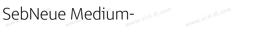 SebNeue Medium字体转换